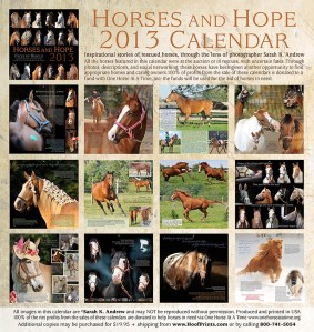 Raise money to save horses from slaughter and get this beautiful calendar.